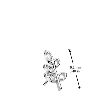 Złoto 585 nakrętka liść oliwny push-in
