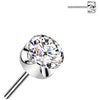 Titanio Zircone incastronato Push-In