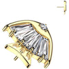Titanio Superiore pesce zirconi Push-In