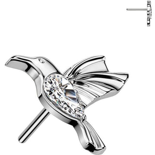 Titanio Superiore colibrì zirconi Push-In