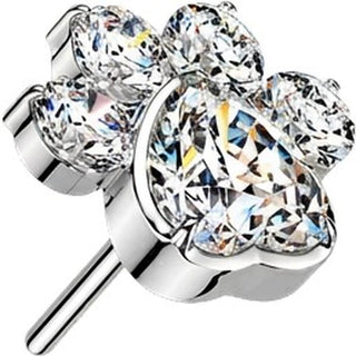 Titanium Top top paw zirconia Push-In