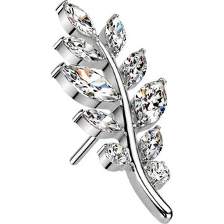 Titanium Top top olive leaf zirconia Push-In