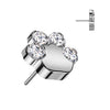 Titanium Top top paw zirconias Push-In
