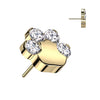 Titanium Top top paw zirconias Push-In