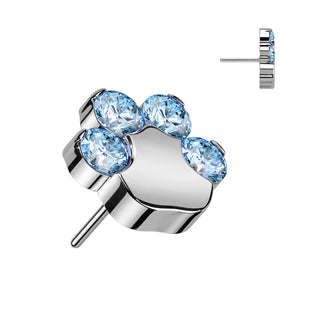 Titanium Top top paw zirconias Push-In