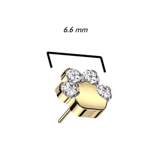 Titanium Top top paw zirconias Push-In