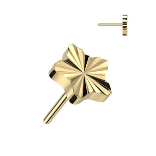 Titanium Top Top Star Diamond Cut Push-In