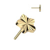 Titanium Top Star Diamond Cut Push-In