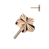 Titanium Top Star Diamond Cut Push-In