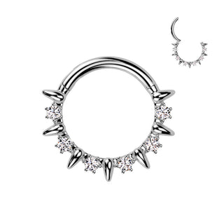 Ring zirconias Segment