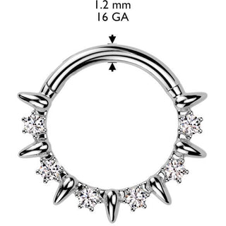 Ring zirconias Segment