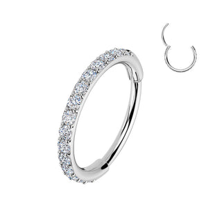 Ring zirconias Segment