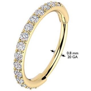 Ring zirconias Segment