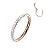 Titanium Ring Zirconia Clicker