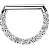 Titanium Ring zirconia Segment