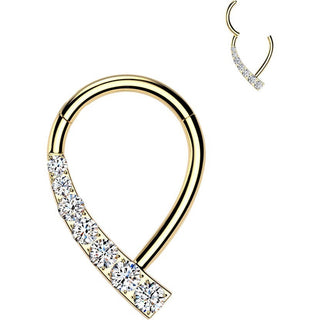 Titanium Ring teardrop zirconia Segment