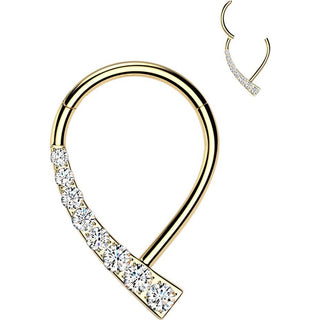 Titanium Ring teardrop zirconia Segment