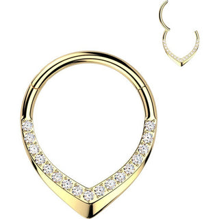 Titanium Ring teardrop zirconia Segment