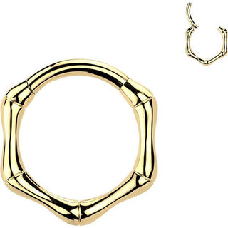 Titanium Ring hexagon Segment