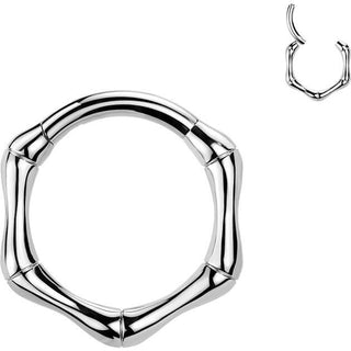 Titanium Ring hexagon Segment