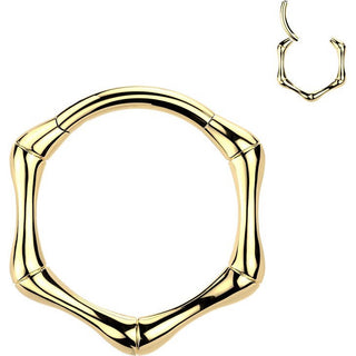 Titanium Ring hexagon Segment