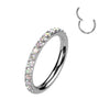 Titanium Ring Zirconia Segment