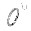 Titanium Ring Zirconia Segment
