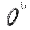 Titanium Ring Zirconia Segment