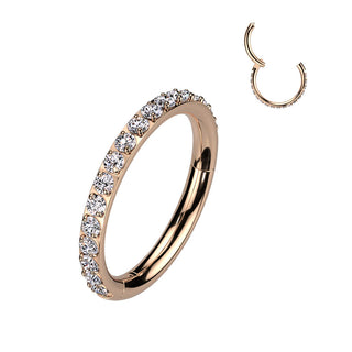 Titanium Ring Zirconia Segment
