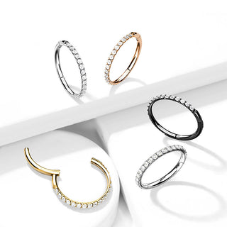 Titanium Ring Zirconia Segment