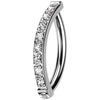 Titanium Ring zirconia pave setting Clicker