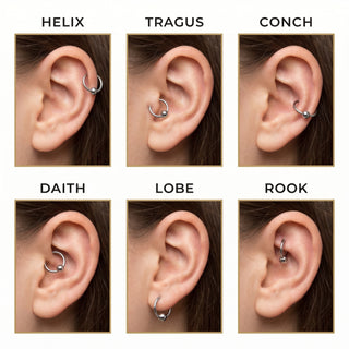 Ring Ball Silver Captive Bead – Piercing-Positionen am Ohr