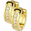 Earring 316L Hoop Huggie Earrings CNC Set Lined Cubic Zirconia 1 Pair Clicker
