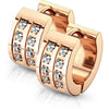 Earring Zirconia Double Line Clicker