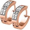 Earring 316L Lined Set Crystals Front Oval Shape Hoop Huggie Earrings 1 Pair Clicker
