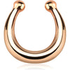 Fake Nose Piercing Septum Bendable