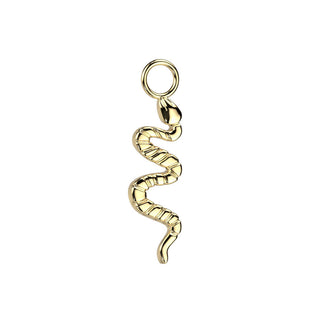 Titanium Attachment Snake