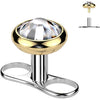 Titanium Dermal Anchor dermal anchor base 2.5mm rise 2 holes Internally Threaded