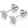 Titanium Earring Five Petal Flower Blossom