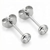 Titanium Earring Round Bezel Clear Gem
