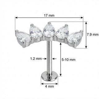 Titanium Labret Curved Five Teardrop Crystal Cluster