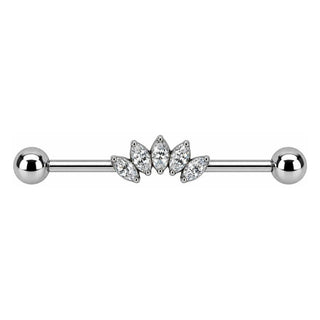 Titanium Industrial Barbell Marquise Crystal Fan Internally Threaded