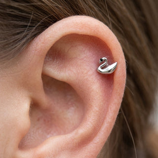 Titanium Top Swan With Black Stone Internally Threaded – getragen