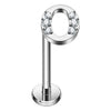 Titanium Labret Initial Letter With Stones Internally Threaded Silver