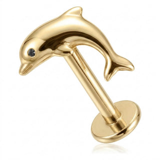 Titanium Labret Dolphin Internally Threaded