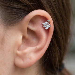 Titanium Labret Swan Marquise Zirconia Internally Threaded – getragen