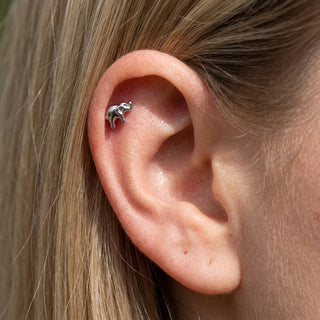 Titanium Labret Elephant Internally Threaded – getragen