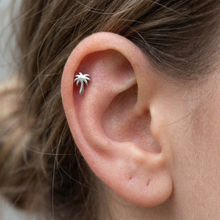Titanium Labret Palm Tree Internally Threaded – getragen