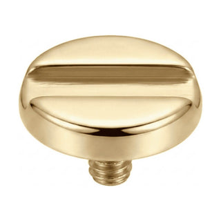 Titanium Top Slotted Screw Head Internally Threaded
