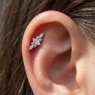 Titanium Labret Marquise Zirconia Cluster Internally Threaded – getragen